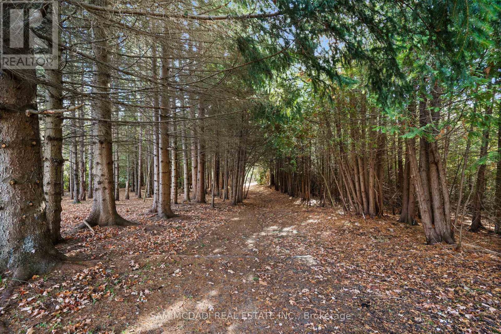 2993 Innisfil Beach Road, Innisfil, Ontario  L9S 4C3 - Photo 44 - N12500820