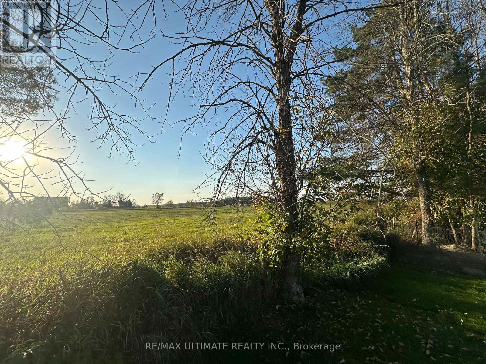 4122 Dalrymple Drive, Ramara, Ontario  L0L 1C0 - Photo 10 - S12500814