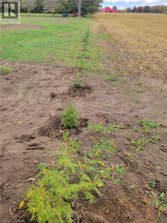 837 Fertilizer Road, Simcoe, Ontario  N3Y 4K6 - Photo 38 - 40779324