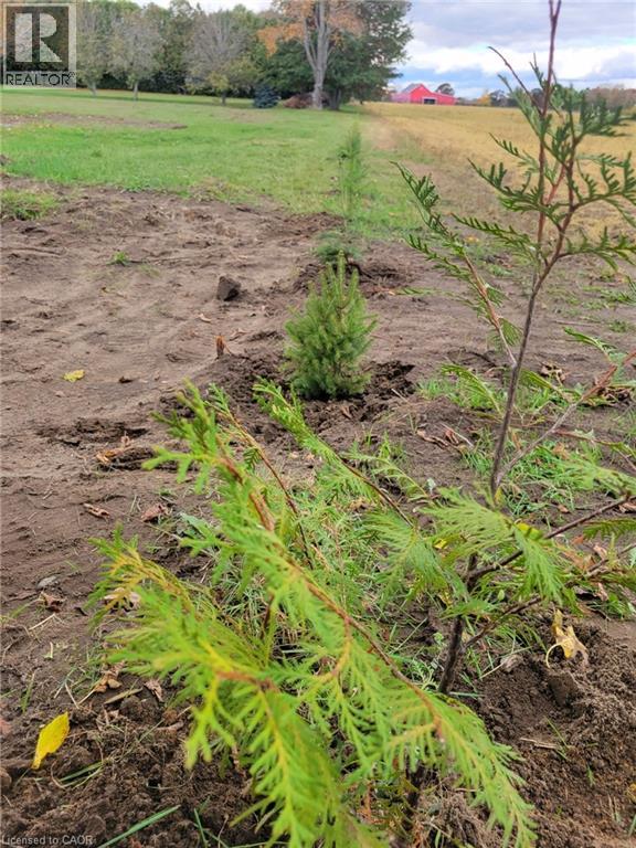 837 Fertilizer Road, Simcoe, Ontario  N3Y 4K6 - Photo 39 - 40779324