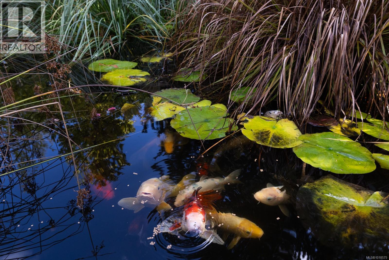 571 Meredith Rd, Mill Bay, British Columbia  V8H 1E7 - Photo 7 - 1018575