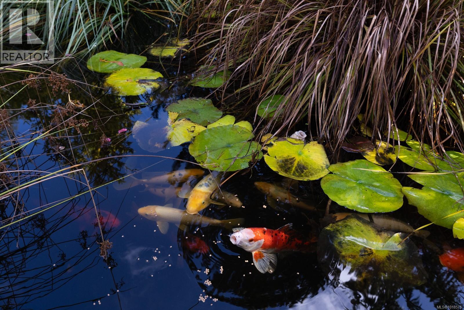 571 Meredith Rd, Mill Bay, British Columbia  V8H 1E7 - Photo 9 - 1018575