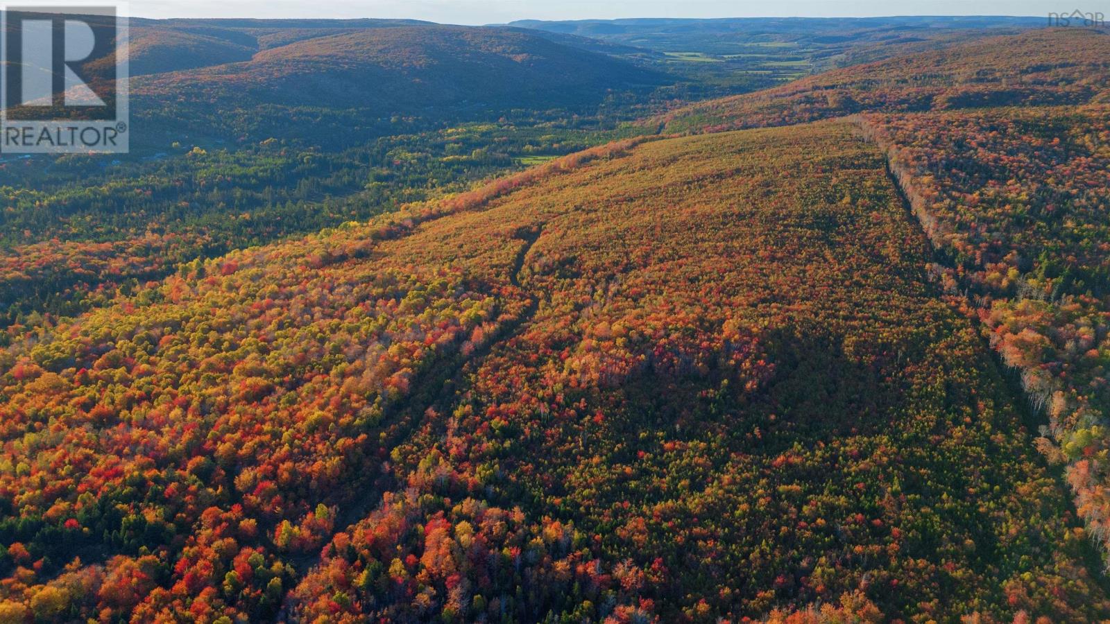 Acreage Ainslie Glen Road, Ainslie Glen, Nova Scotia  B0E 3M0 - Photo 10 - 202514737