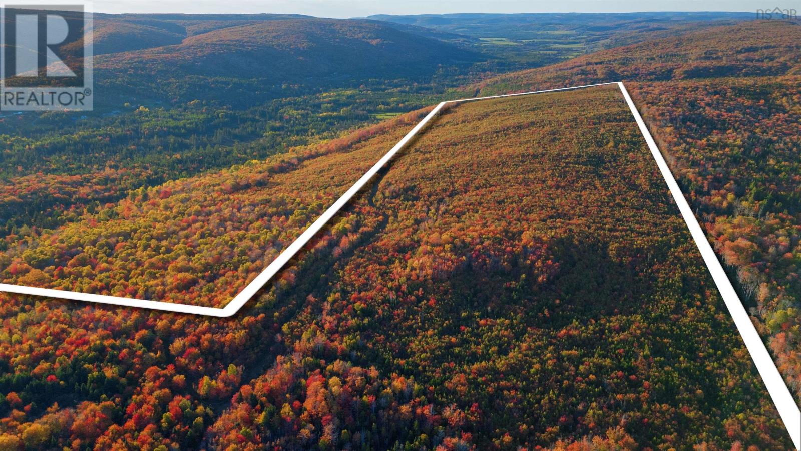 Acreage Ainslie Glen Road, Ainslie Glen, Nova Scotia  B0E 3M0 - Photo 9 - 202514737