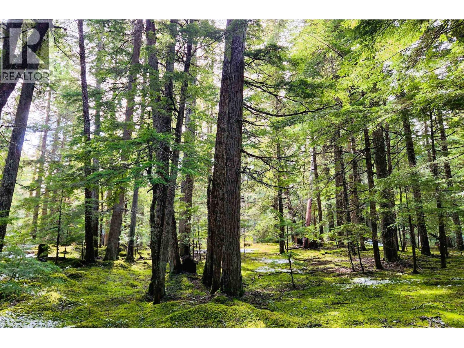 Dl3363 Highway 99, Whistler, British Columbia  V0N 1B0 - Photo 5 - R2870298