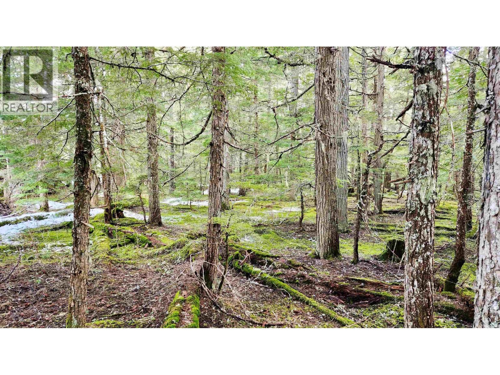 Dl3363 Highway 99, Whistler, British Columbia  V0N 1B0 - Photo 7 - R2870298