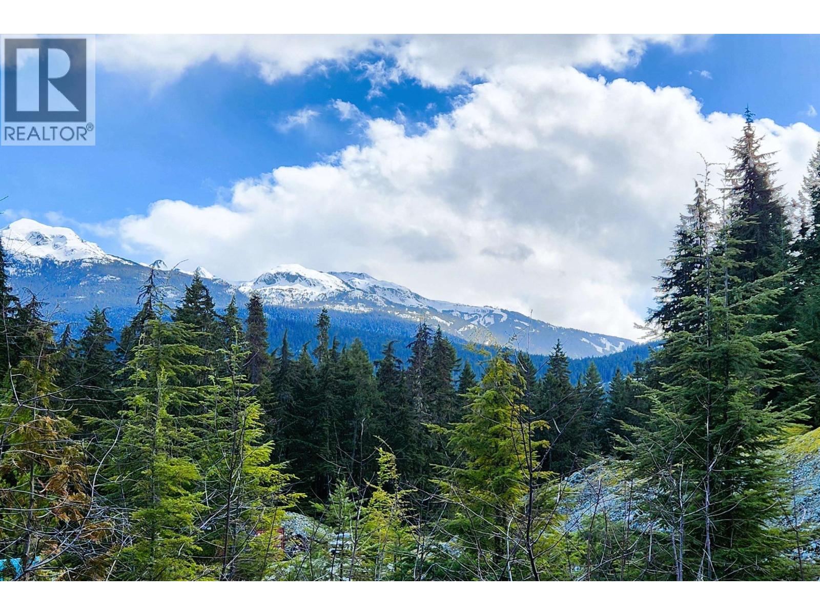 Dl3363 Highway 99, Whistler, British Columbia  V0N 1B0 - Photo 4 - R2870298