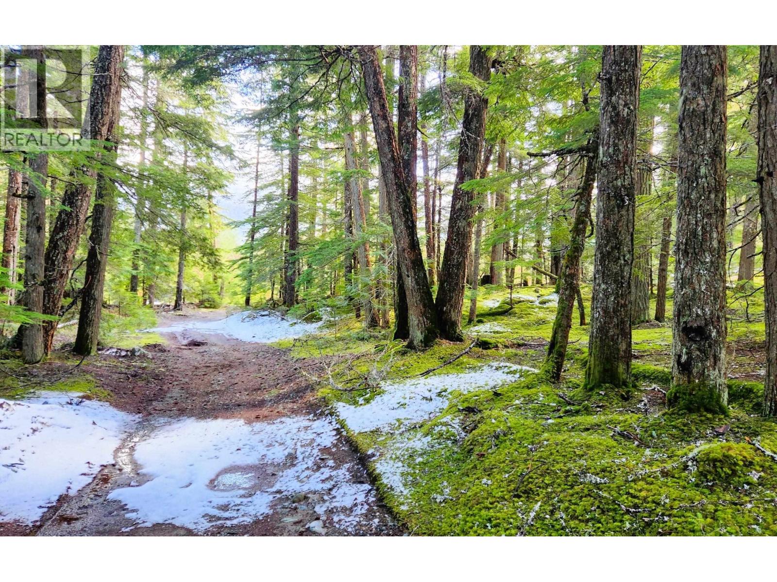 Dl3363 Highway 99, Whistler, British Columbia  V0N 1B0 - Photo 3 - R2870298