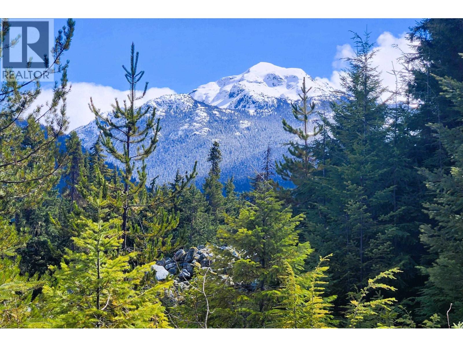 Dl3363 Highway 99, Whistler, British Columbia  V0N 1B0 - Photo 10 - R2870298