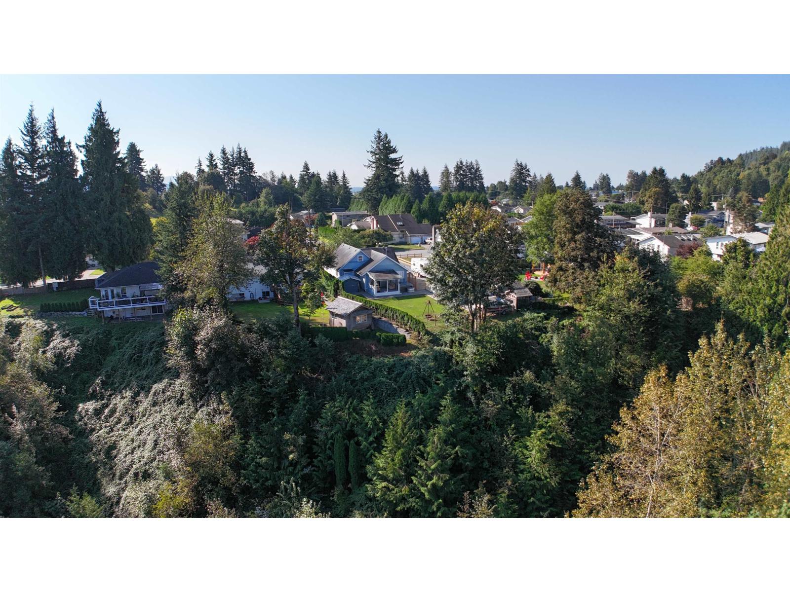 35107 Mcewen Avenue, Mission, British Columbia  V2V 6R3 - Photo 29 - R3052659