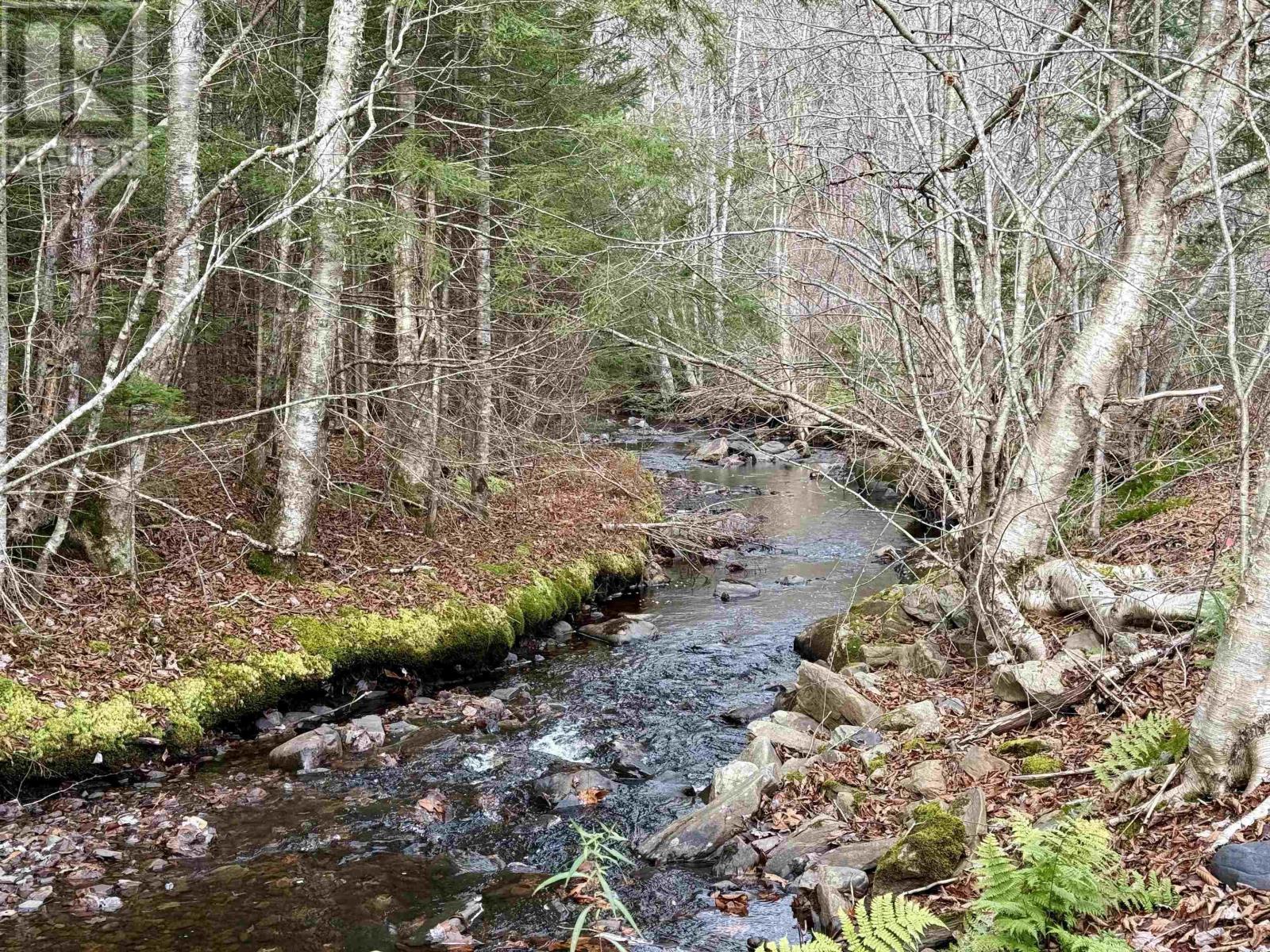 172 Woodside Road, Dean, Nova Scotia  B0N 2M0 - Photo 2 - 202527067