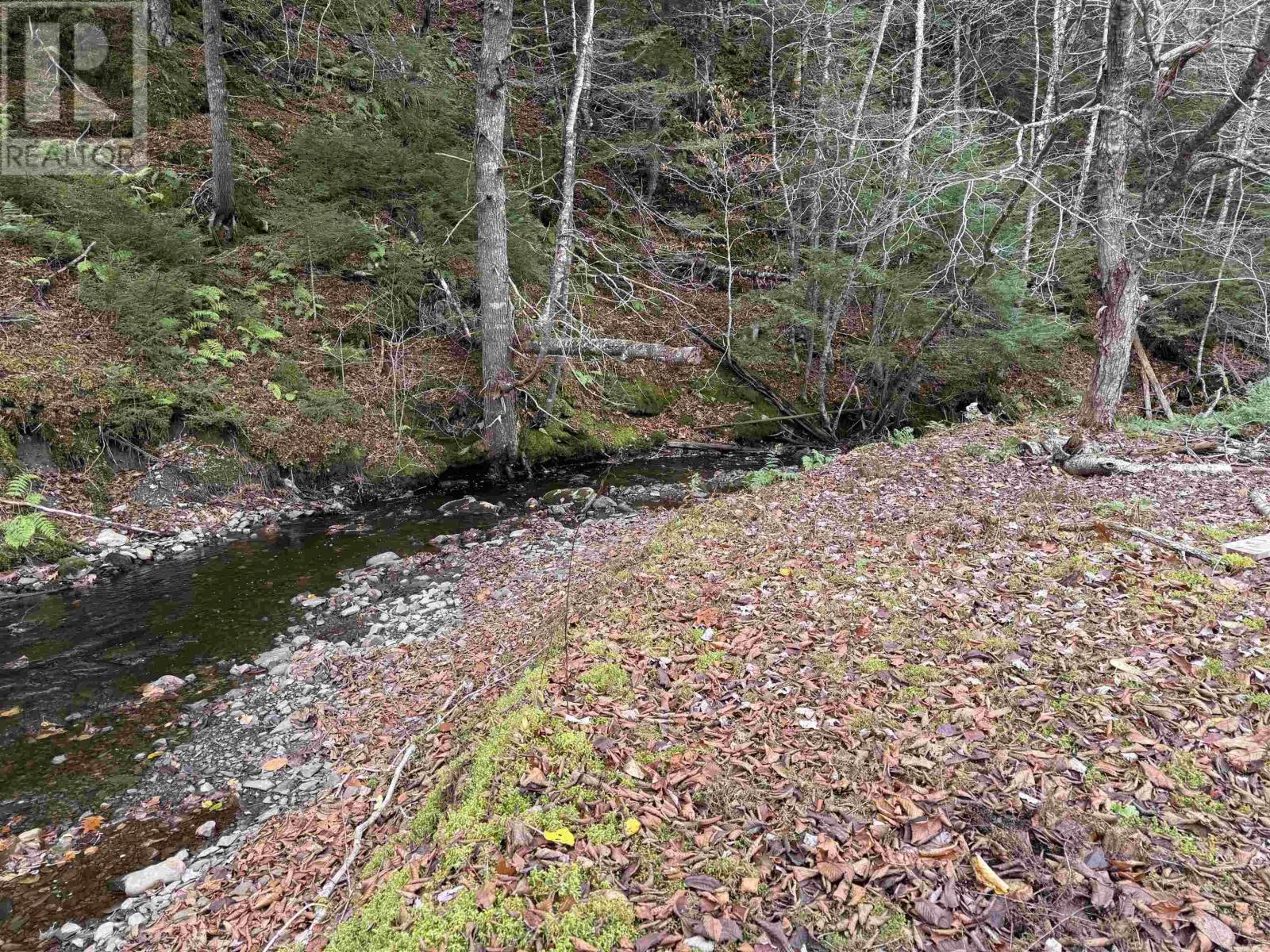 172 Woodside Road, Dean, Nova Scotia  B0N 2M0 - Photo 29 - 202527067