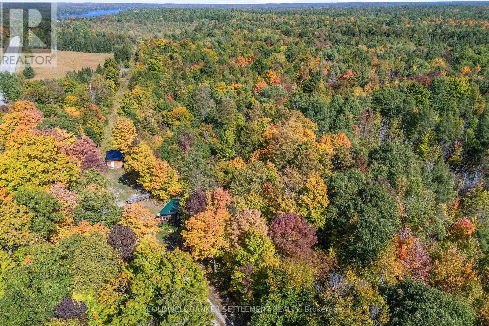 23925 Highway 7, Central Frontenac, Ontario  K0H 2P0 - Photo 7 - X12411047