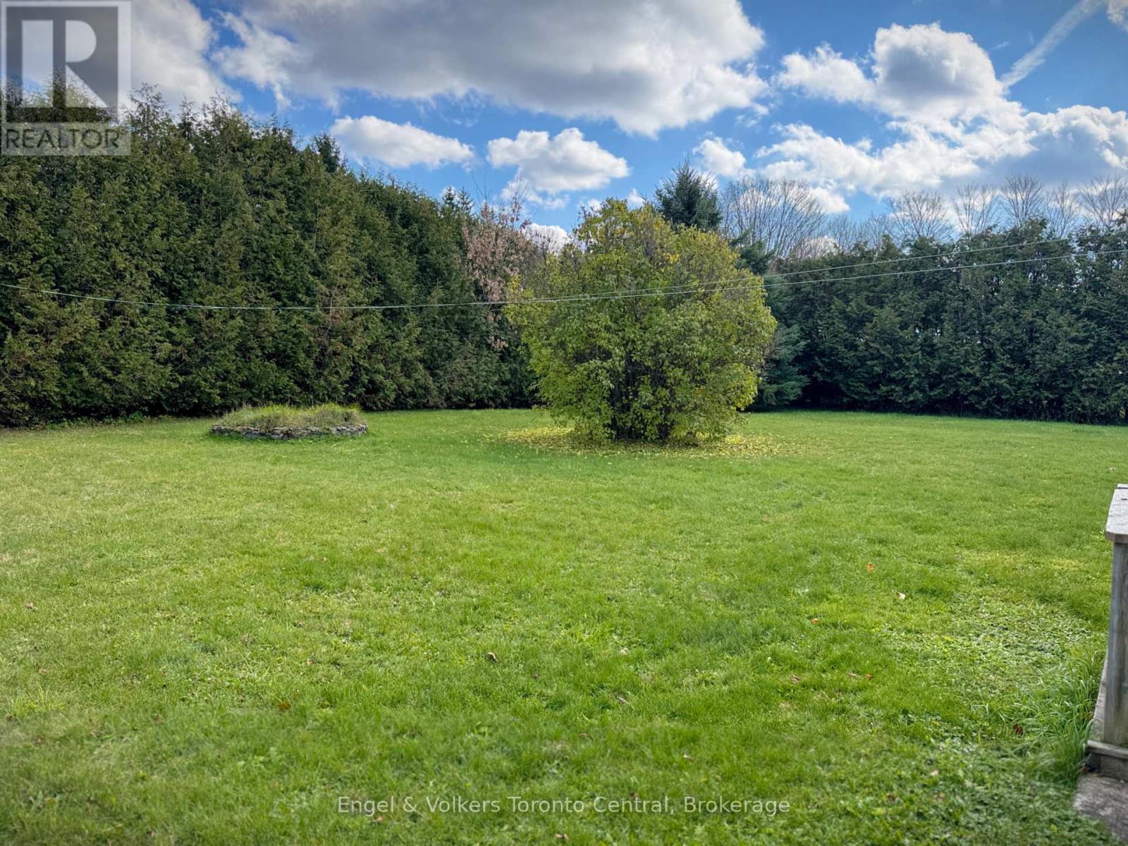 209 Evans Street, Grey Highlands, Ontario  N0C 1E0 - Photo 4 - X12501076