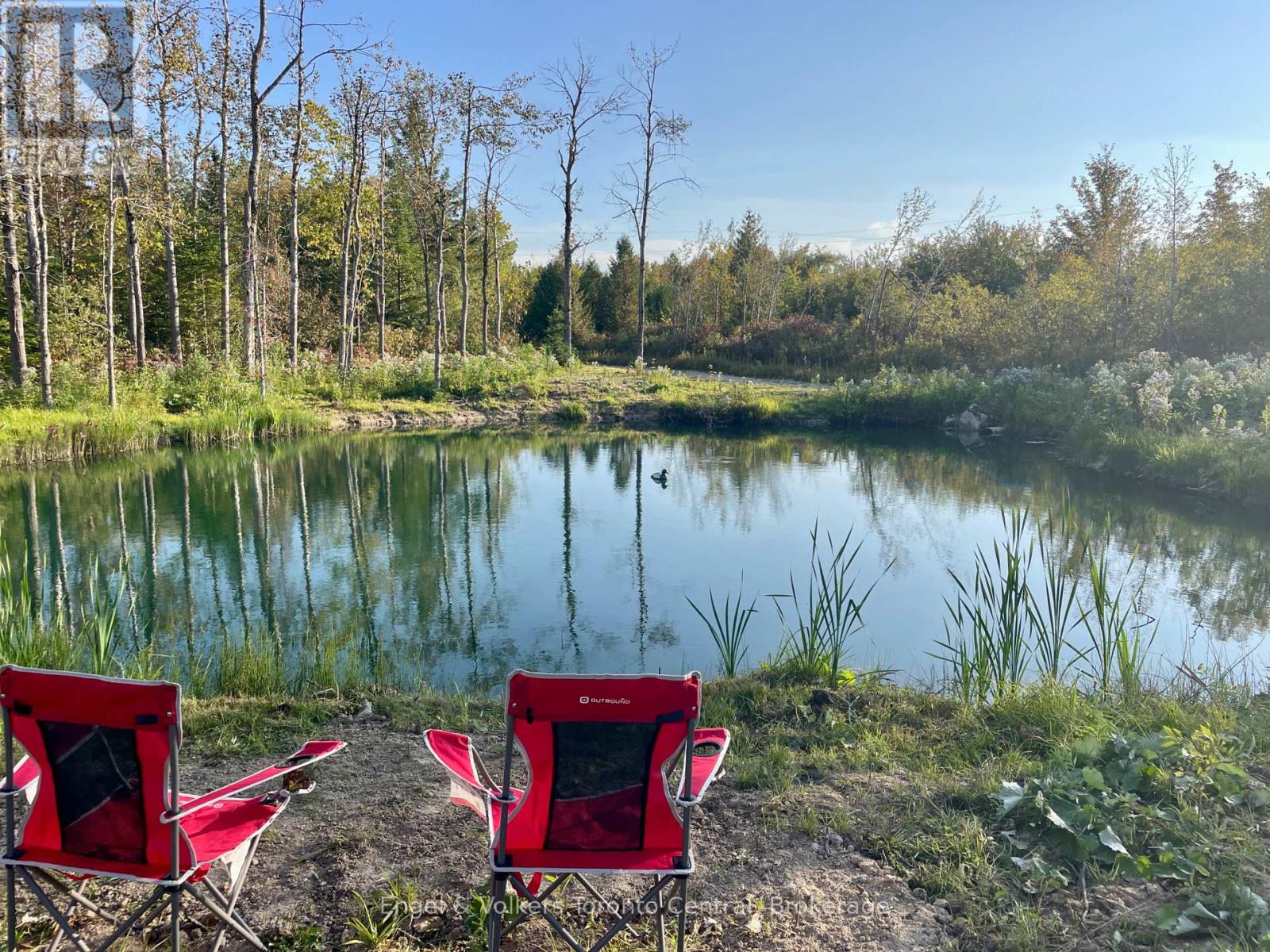 429571 8th B Concession, Grey Highlands, Ontario  N0C 1M0 - Photo 10 - X12501088