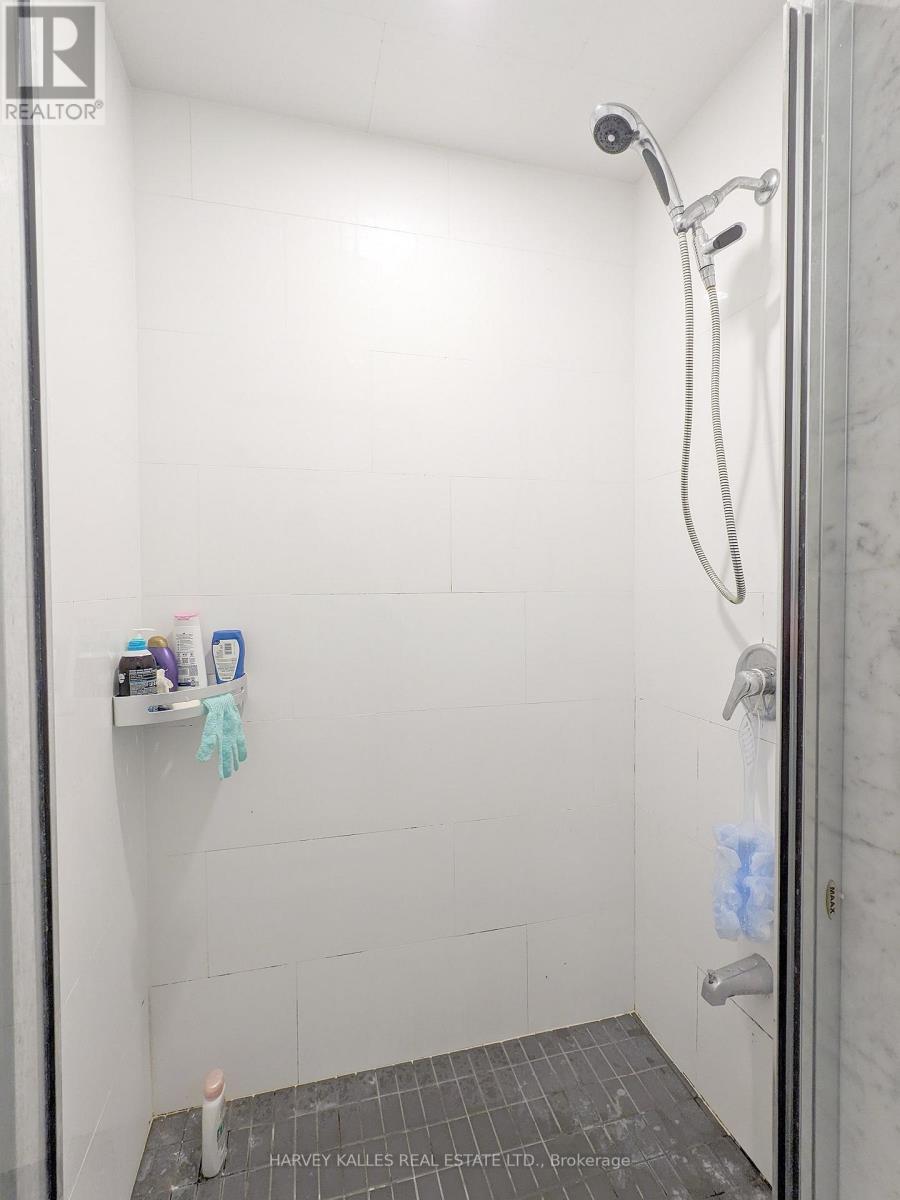 1b - 214 Bathurst Street, Toronto, Ontario  M5T 2R9 - Photo 8 - C12501104