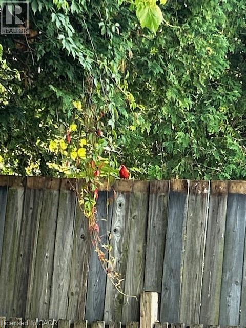 1 John Avenue, Paris, Ontario  N3L 2S8 - Photo 37 - 40777214