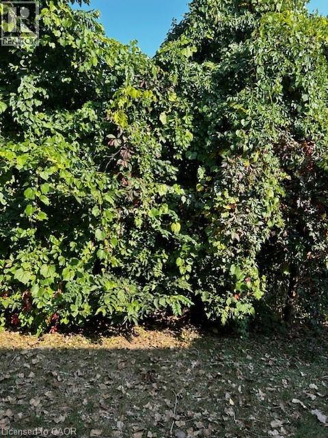 1 John Avenue, Paris, Ontario  N3L 2S8 - Photo 38 - 40777214