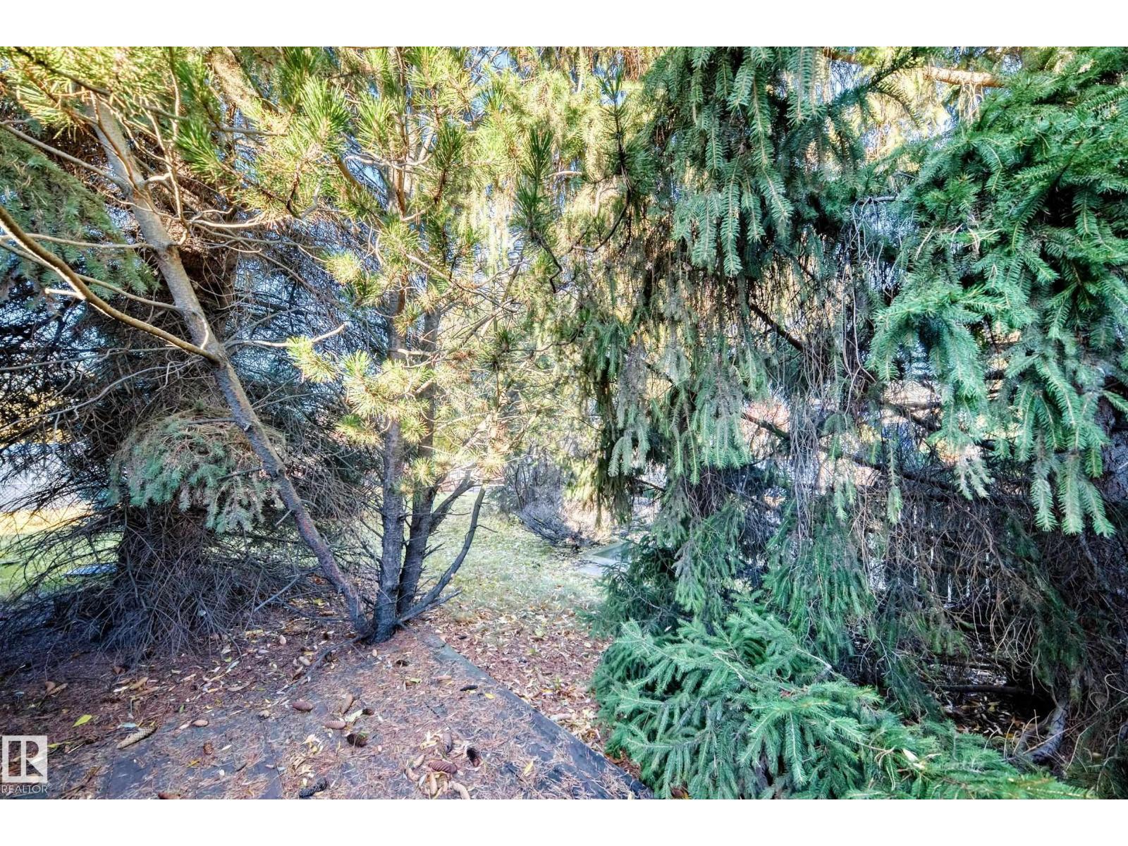 34 Greenwood Cl, Spruce Grove, Alberta  T7X 1Y1 - Photo 39 - E4464479