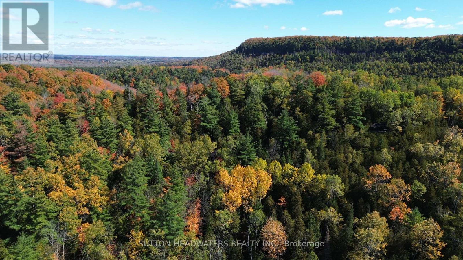 265 Dominion Street E, Caledon, Ontario  L7K 2H8 - Photo 6 - W12153478