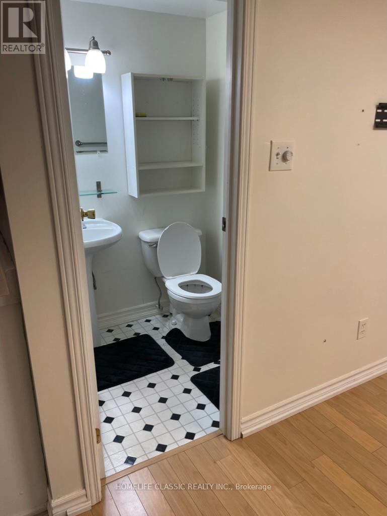 Lower - 102 Church Street S, Richmond Hill, Ontario  L4C 1W3 - Photo 8 - N12501132