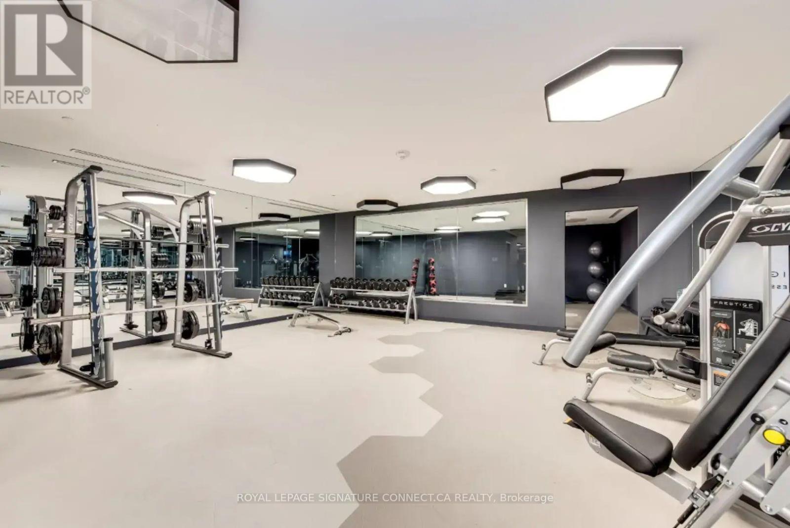 2006 - 28 Freeland Street, Toronto, Ontario  M5E 0E3 - Photo 11 - C12501002