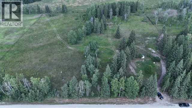 62014 Township Road 37-0a, Rural Clearwater County, Alberta  T0M 0M0 - Photo 7 - A2177292