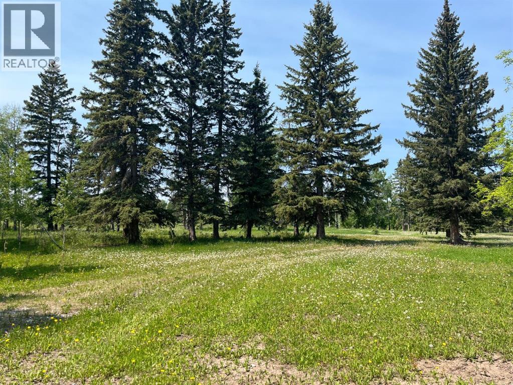 62014 Township Road 37-0a, Rural Clearwater County, Alberta  T0M 0M0 - Photo 4 - A2177292