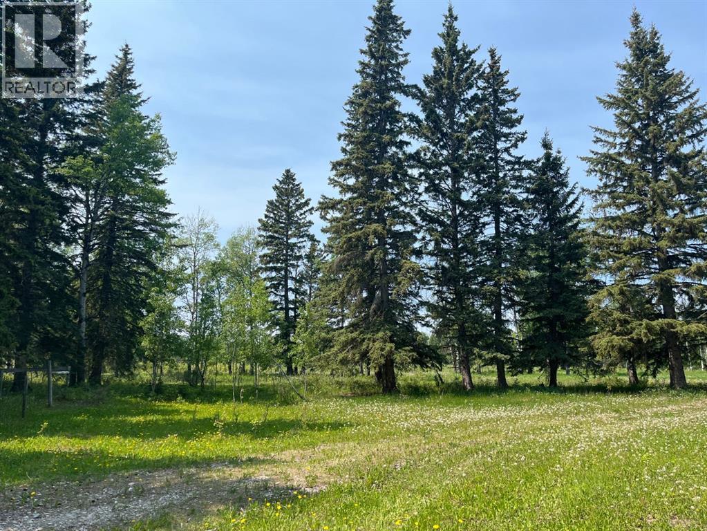 62014 Township Road 37-0a, Rural Clearwater County, Alberta  T0M 0M0 - Photo 3 - A2177292