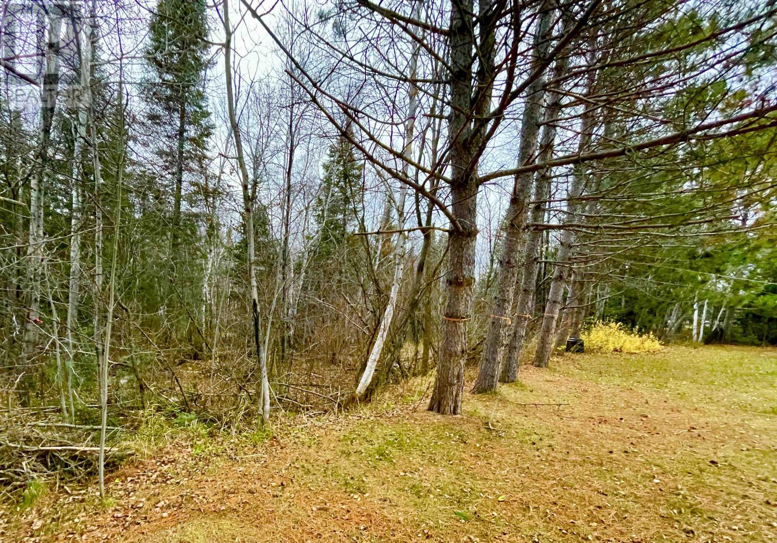 78 Armstrong St, Vermilion Bay, Ontario  P0V 2V0 - Photo 33 - TB253253