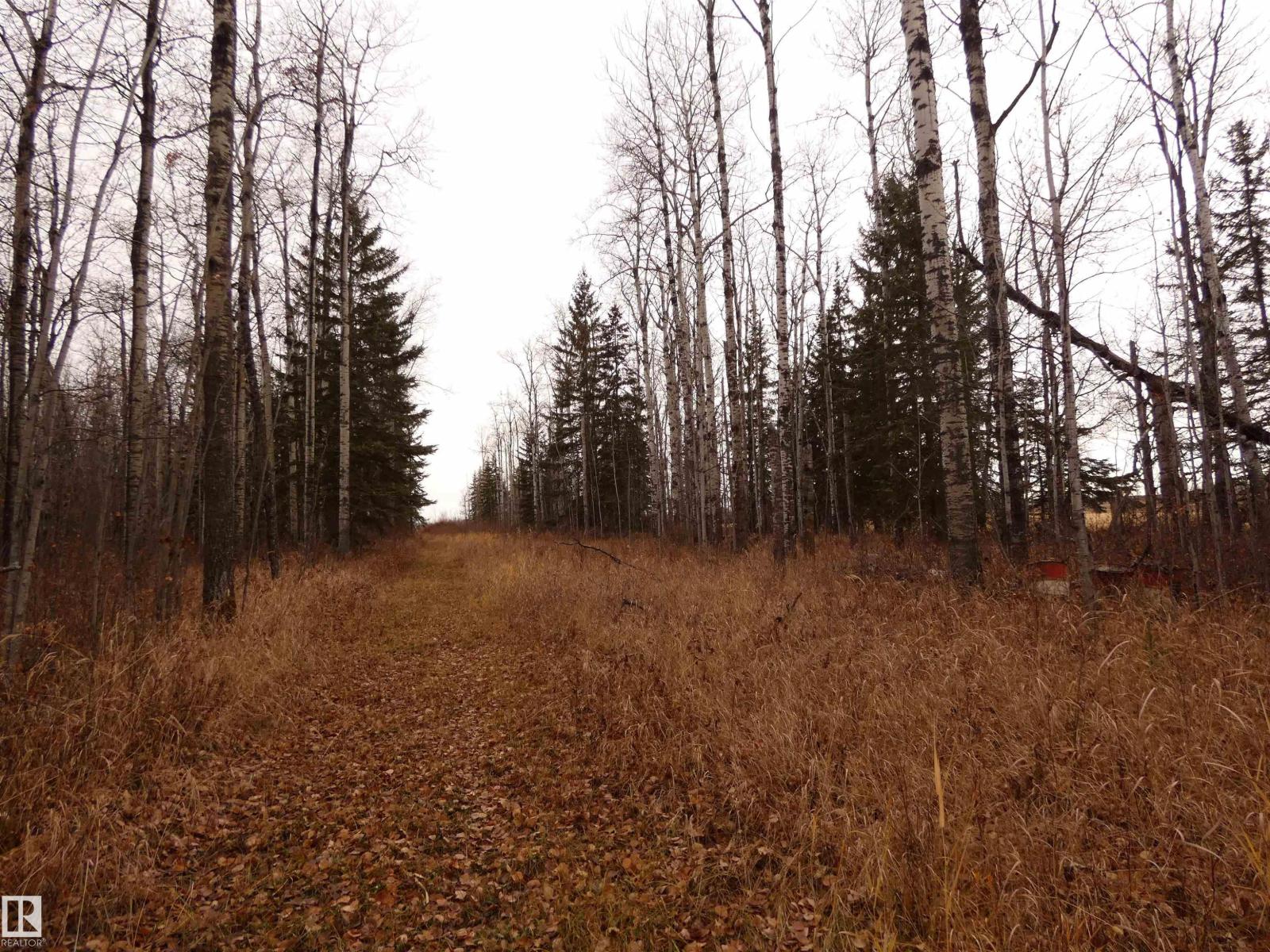 624060 661 Hi, Rural Woodlands County, Alberta  T0G 1A0 - Photo 52 - E4452346