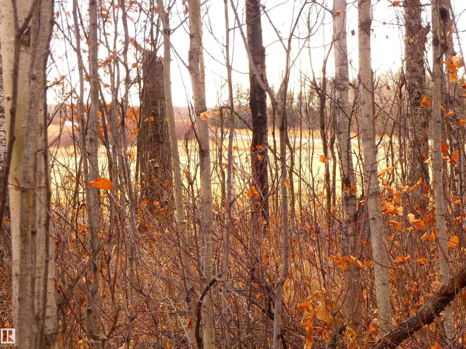 624060 661 Hi, Rural Woodlands County, Alberta  T0G 1A0 - Photo 54 - E4452346