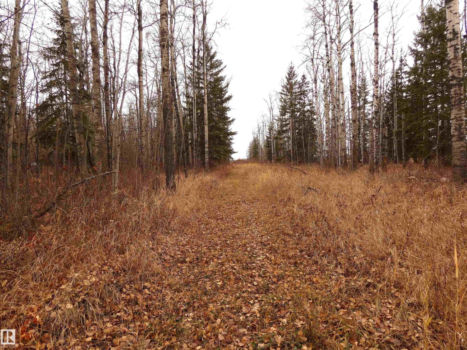 624060 661 Hi, Rural Woodlands County, Alberta  T0G 1A0 - Photo 55 - E4452346