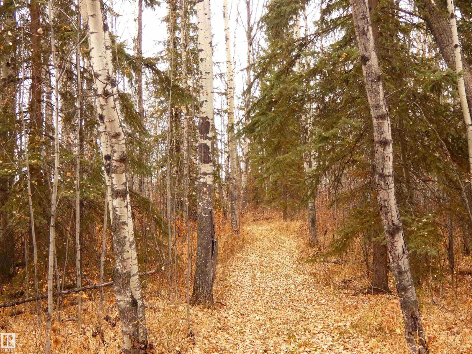 624060 661 Hi, Rural Woodlands County, Alberta  T0G 1A0 - Photo 51 - E4452346