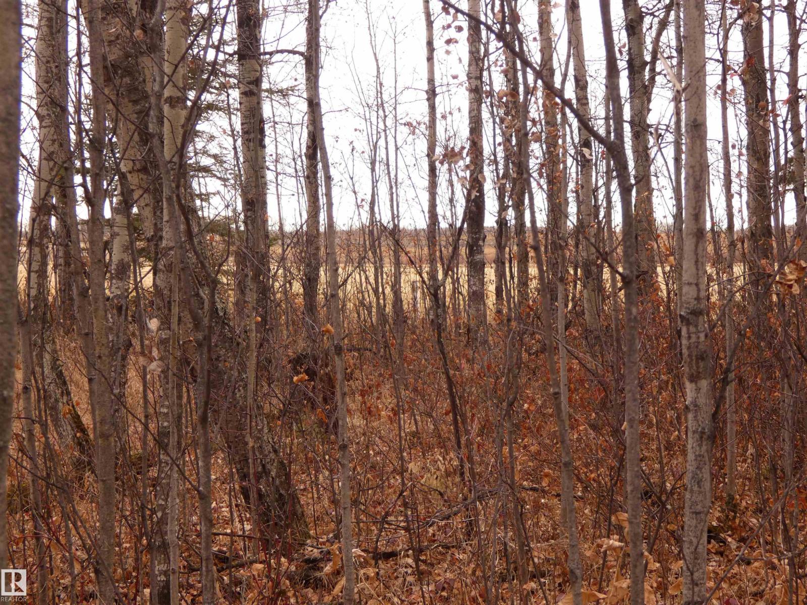 624060 661 Hi, Rural Woodlands County, Alberta  T0G 1A0 - Photo 56 - E4452346