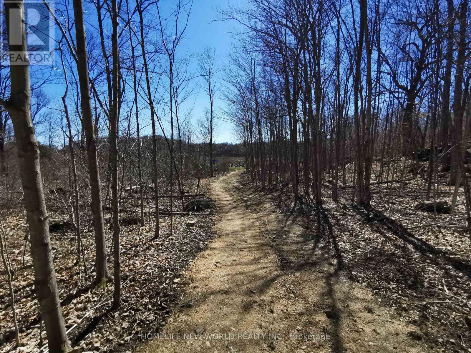 1082 Sand Bay Road, Front Of Leeds & Seeleys Bay, Ontario  K0E 1L0 - Photo 20 - X12501302