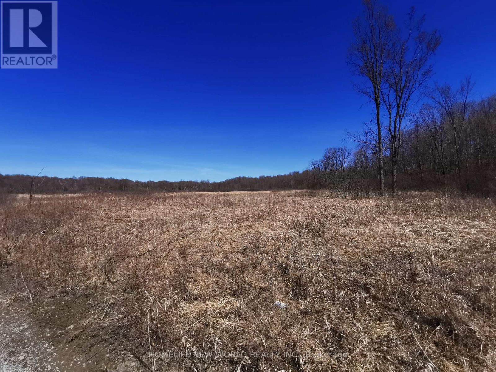 1082 Sand Bay Road, Front Of Leeds & Seeleys Bay, Ontario  K0E 1L0 - Photo 21 - X12501302