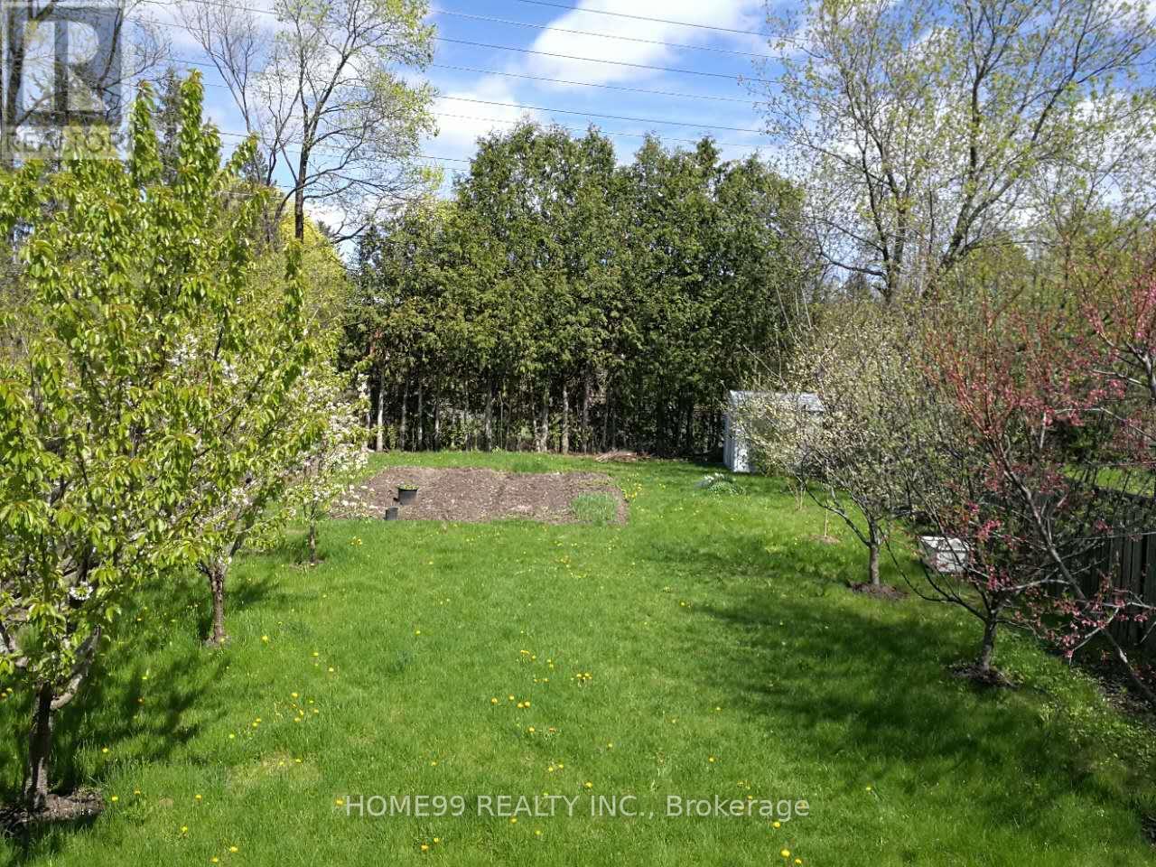 Lower - 137 Pineway Boulevard, Toronto, Ontario  M2H 1A9 - Photo 13 - C12501366