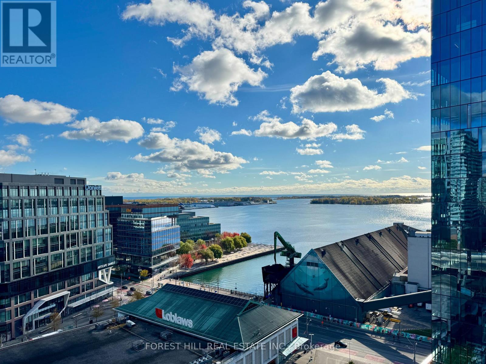 1910 - 138 Downes Street, Toronto, Ontario  M5E 0E4 - Photo 11 - C12501376