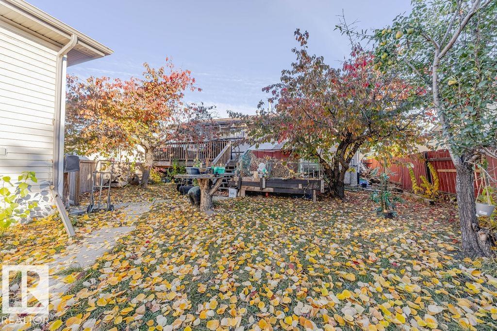 10309 167a Av Nw, Edmonton, Alberta  T5X 2Y8 - Photo 27 - E4463585