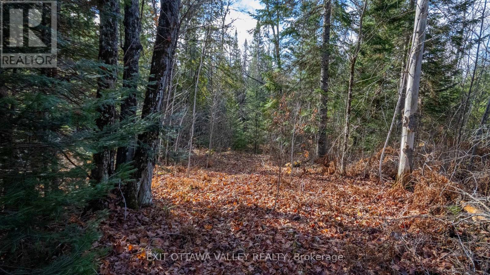 00 Highway 60 Highway, Madawaska Valley, Ontario  K0J 1B0 - Photo 1 - X12501452
