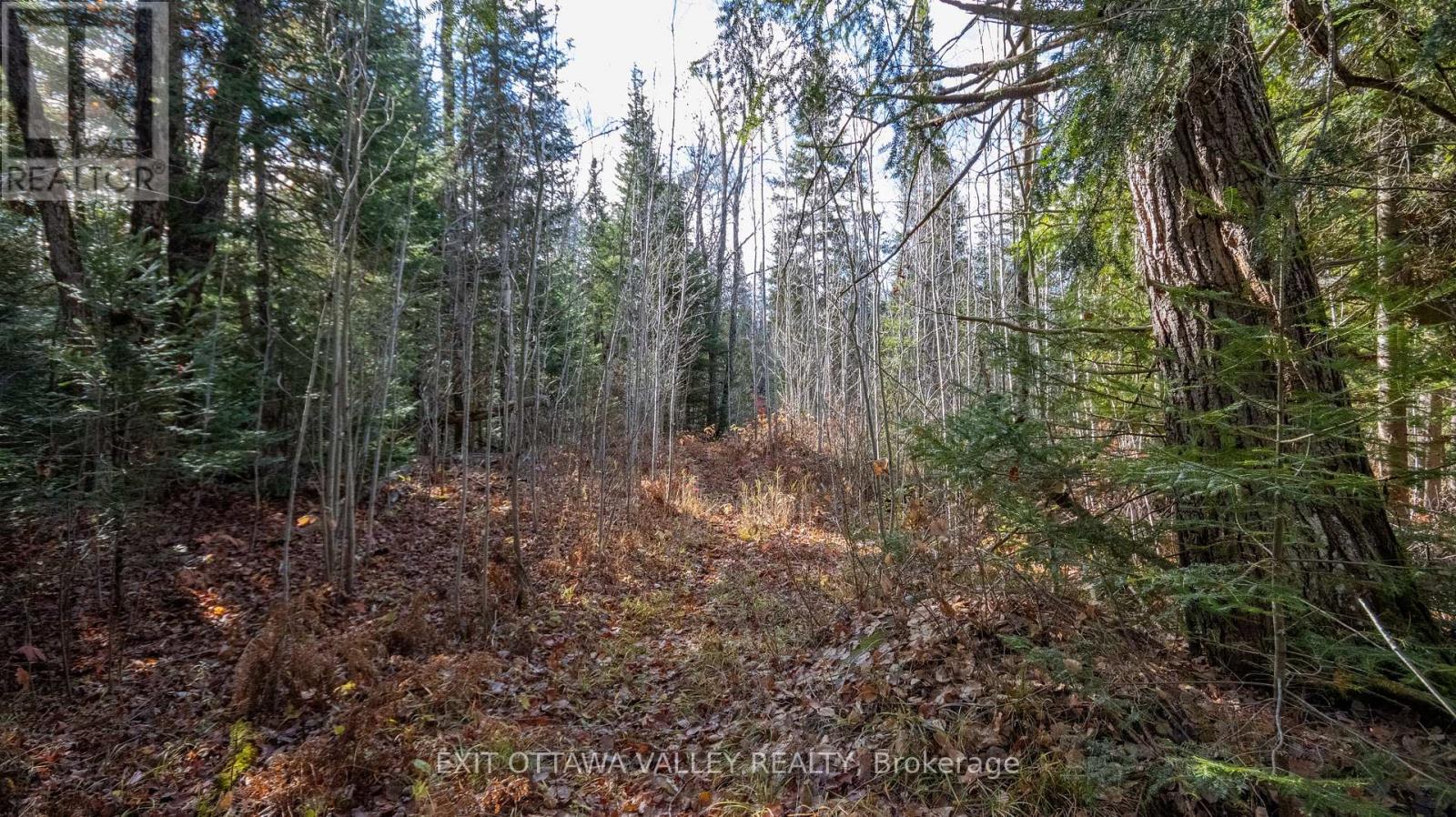 00 Highway 60 Highway, Madawaska Valley, Ontario  K0J 1B0 - Photo 10 - X12501452