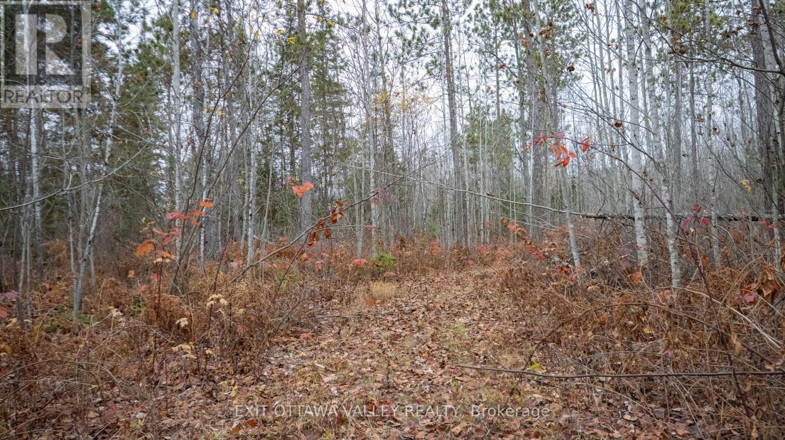 00 Highway 60 Highway, Madawaska Valley, Ontario  K0J 1B0 - Photo 11 - X12501452