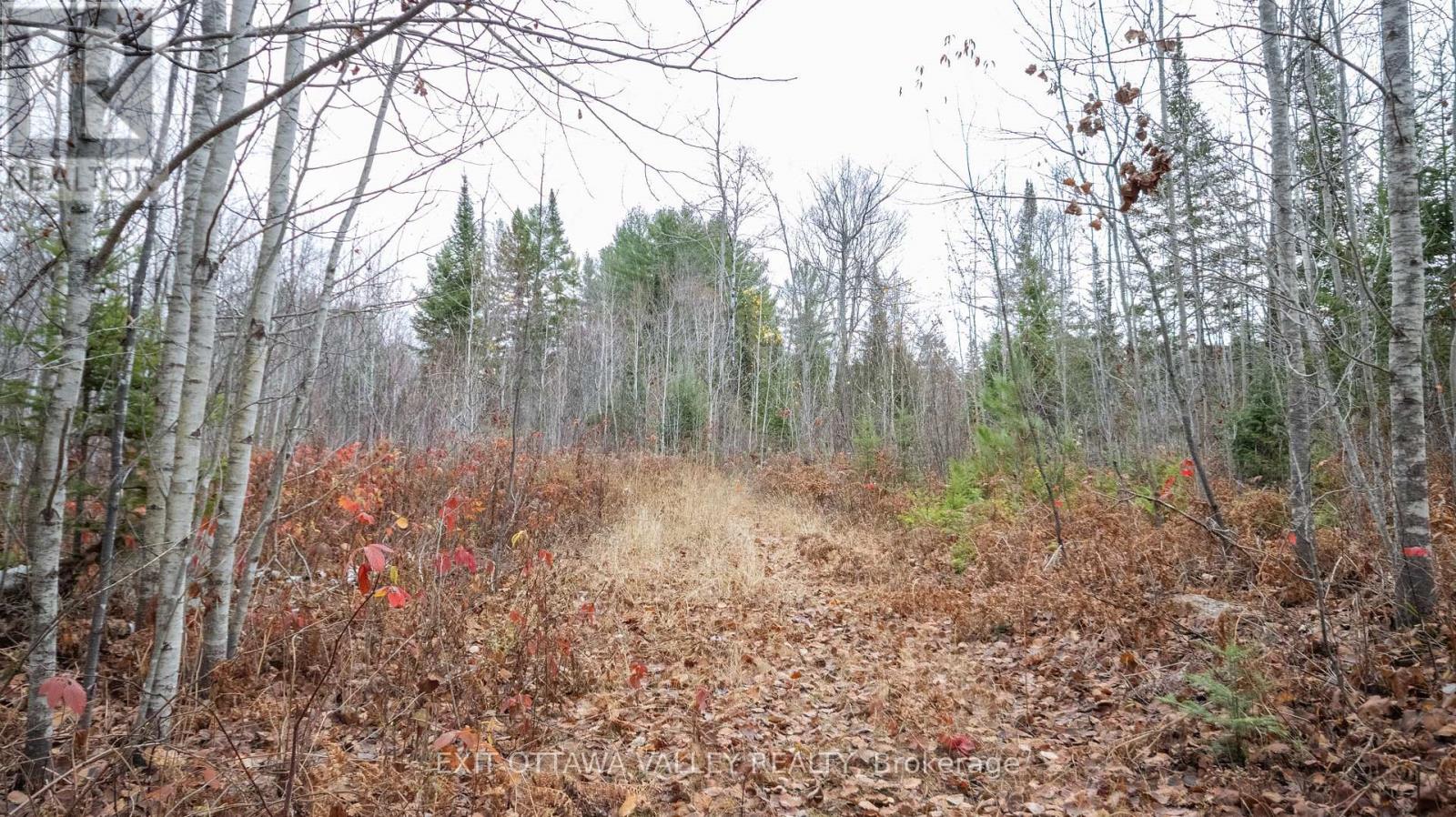 00 Highway 60 Highway, Madawaska Valley, Ontario  K0J 1B0 - Photo 12 - X12501452