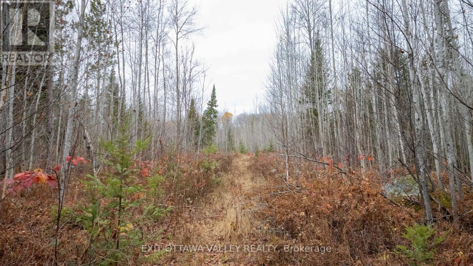 00 Highway 60 Highway, Madawaska Valley, Ontario  K0J 1B0 - Photo 13 - X12501452