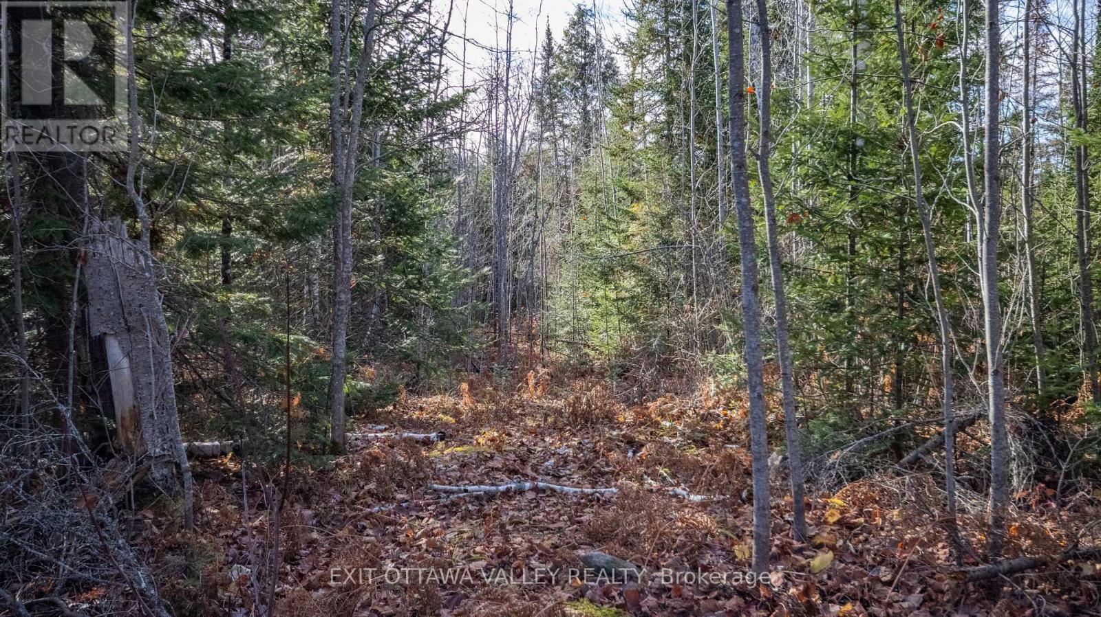 00 Highway 60 Highway, Madawaska Valley, Ontario  K0J 1B0 - Photo 14 - X12501452