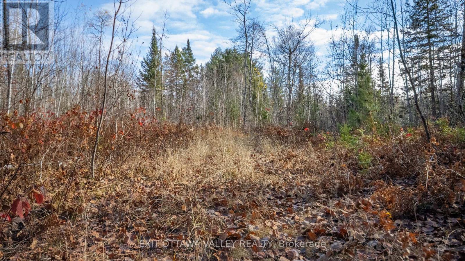 00 Highway 60 Highway, Madawaska Valley, Ontario  K0J 1B0 - Photo 15 - X12501452