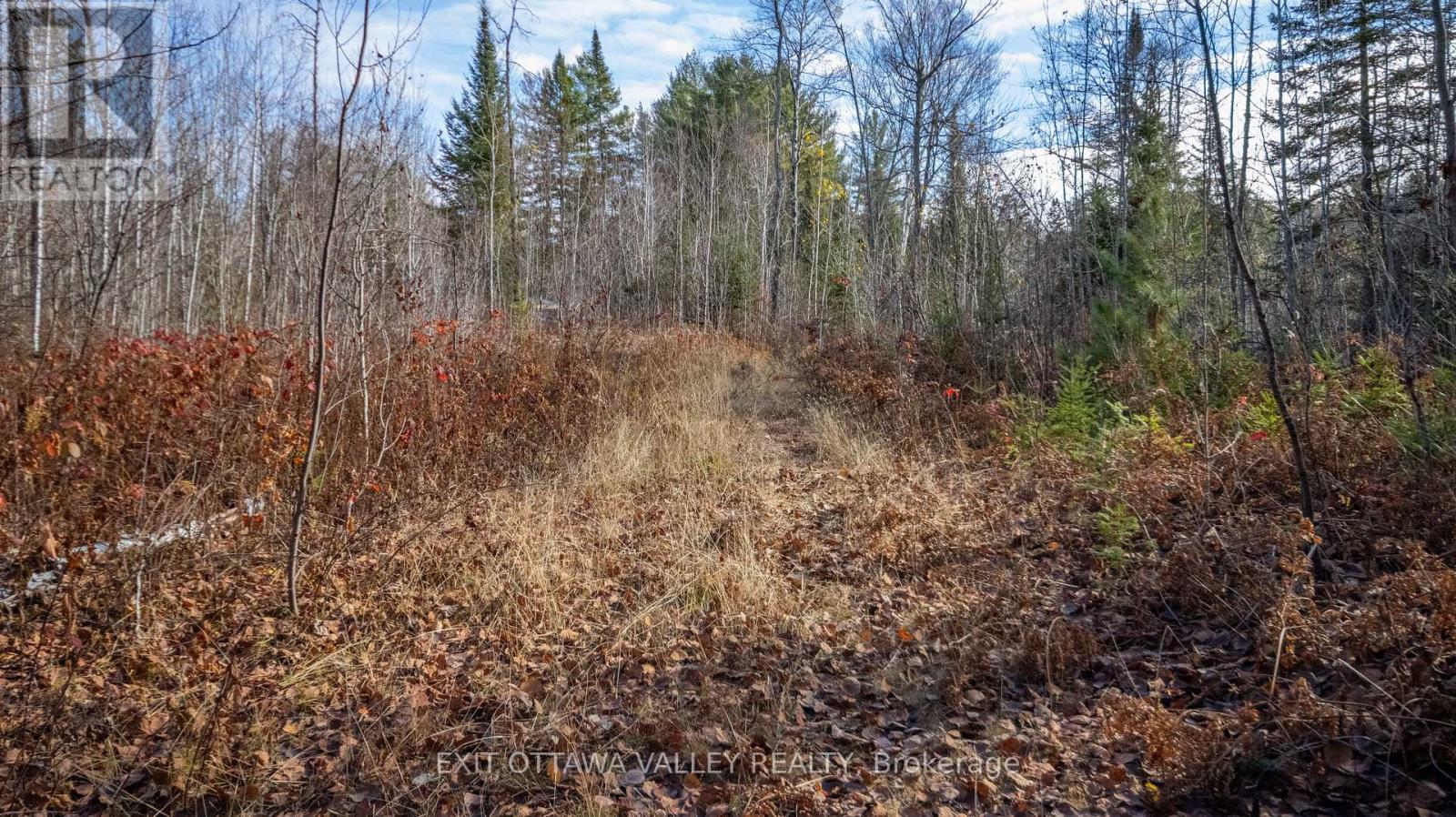 00 Highway 60 Highway, Madawaska Valley, Ontario  K0J 1B0 - Photo 16 - X12501452