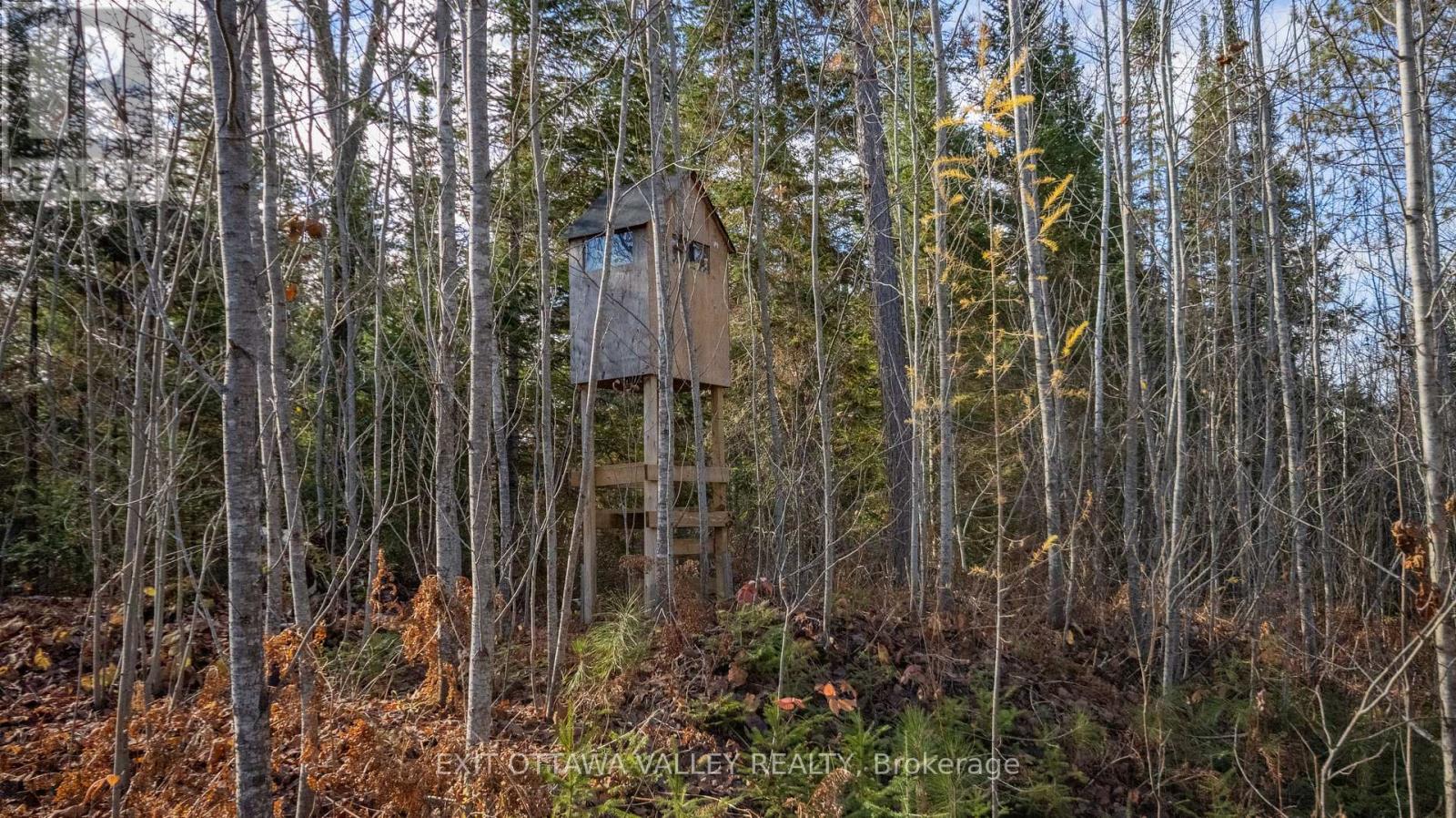 00 Highway 60 Highway, Madawaska Valley, Ontario  K0J 1B0 - Photo 17 - X12501452