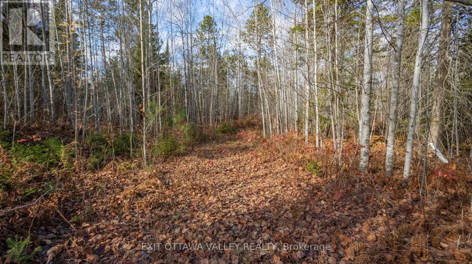 00 Highway 60 Highway, Madawaska Valley, Ontario  K0J 1B0 - Photo 18 - X12501452